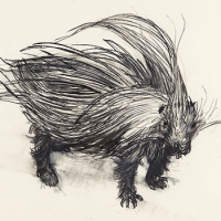 https://gni07t-larascoullercom-5860.site.tb-hosting.com/files/gimgs/th-17_Indian-crested-porcupine-sm_v2.jpg
