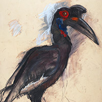 https://gni07t-larascoullercom-5860.site.tb-hosting.com/files/gimgs/th-17_ground-hornbill-2011-sm.jpg