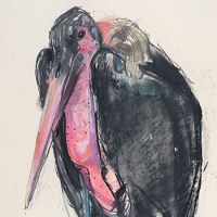 https://gni07t-larascoullercom-5860.site.tb-hosting.com/files/gimgs/th-17_maribou-stork-2014-sm.jpg