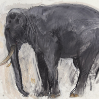 https://gni07t-larascoullercom-5860.site.tb-hosting.com/files/gimgs/th-17_sir-roger-the-elephant.jpg