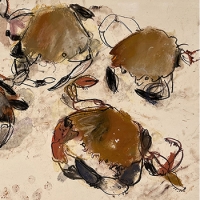 https://gni07t-larascoullercom-5860.site.tb-hosting.com/files/gimgs/th-30_smwebVelvetCrabs.jpg